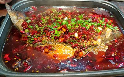 想學(xué)烤魚技術(shù)哪里專業(yè)？