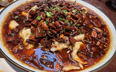 成都涼拌菜培訓(xùn)如何選擇？學(xué)習(xí)涼菜技術(shù)哪里好