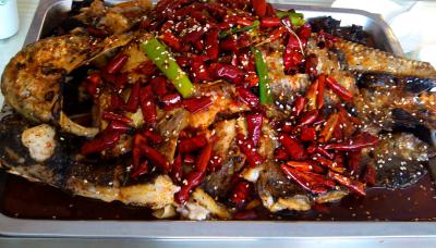 成都烤魚技術(shù)培訓(xùn)學(xué)校排名,學(xué)習(xí)烤魚技術(shù)培訓(xùn)學(xué)費(fèi)？