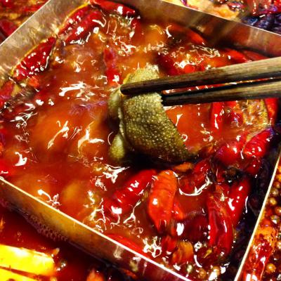 成都火鍋培訓(xùn)多少錢？ 成都火鍋培訓(xùn)多少錢？